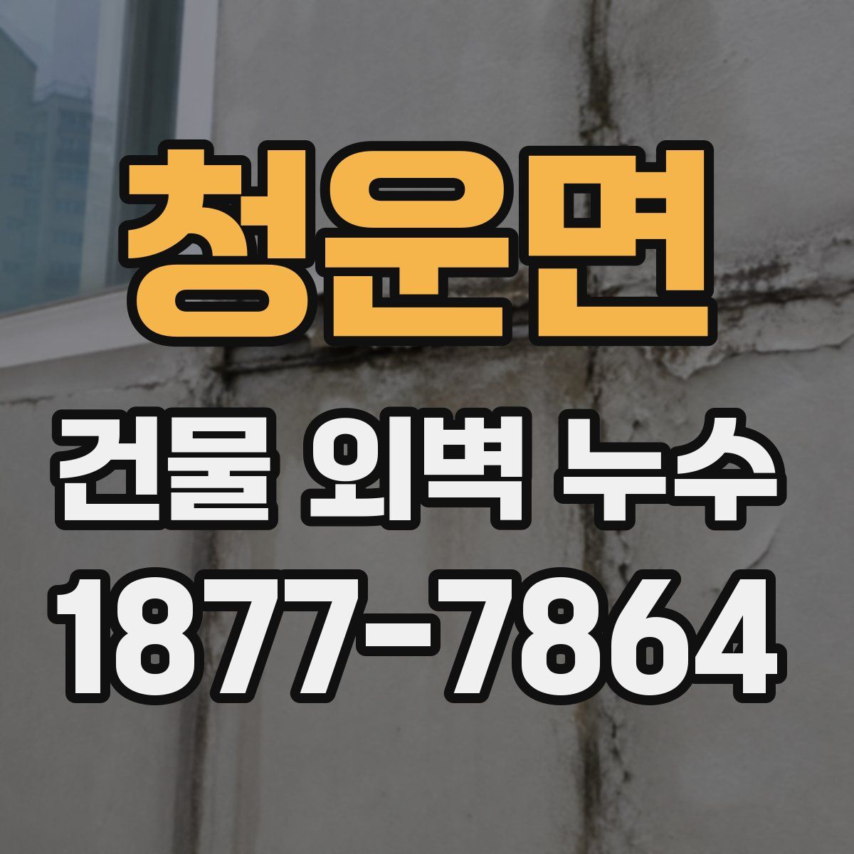 청운면 건물 외벽 누수