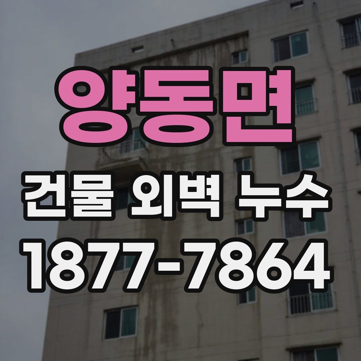 양동면 건물 외벽 누수 진단에서 중요한 관찰 요소