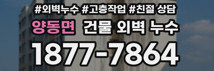양동면 건물 외벽 누수