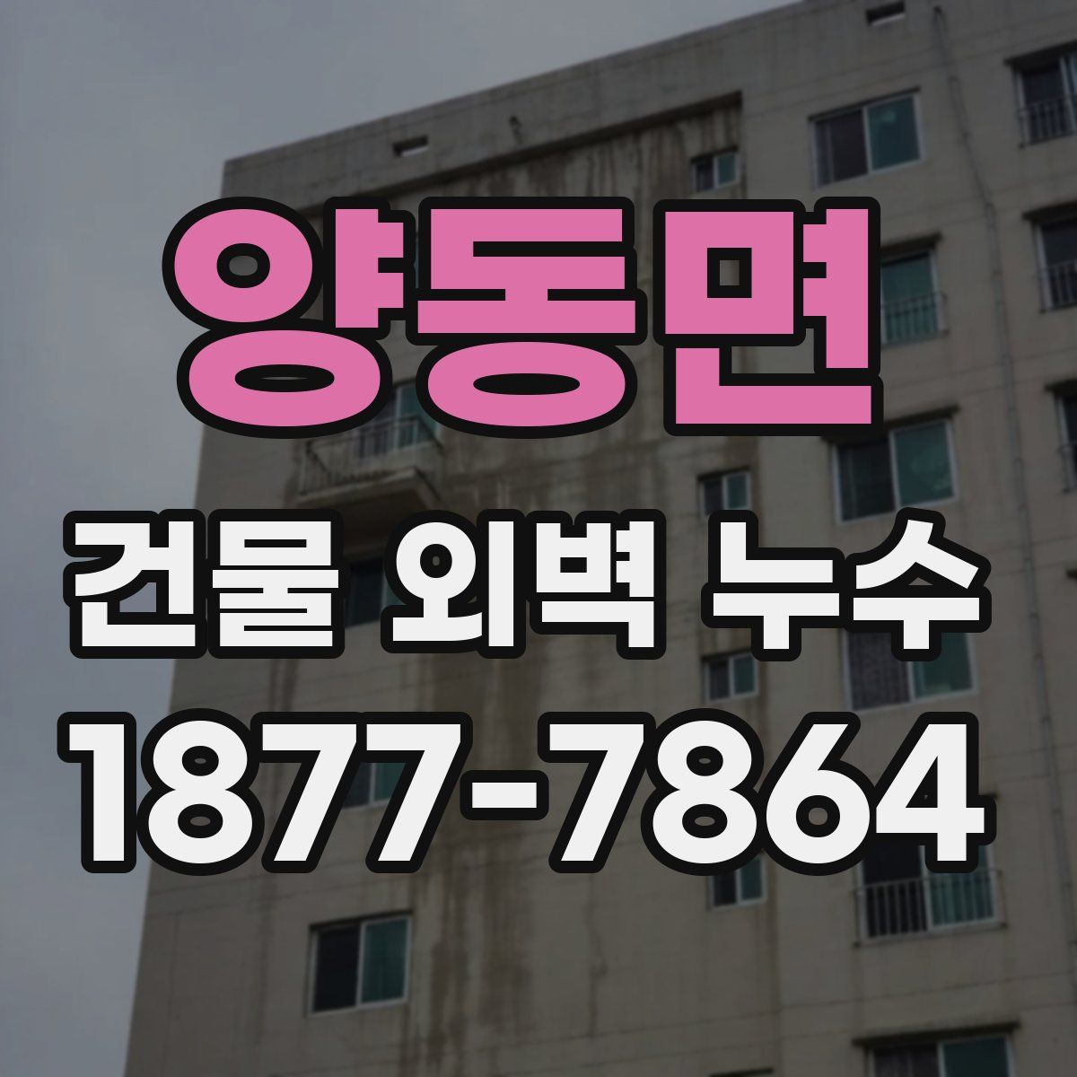 양동면 건물 외벽 누수