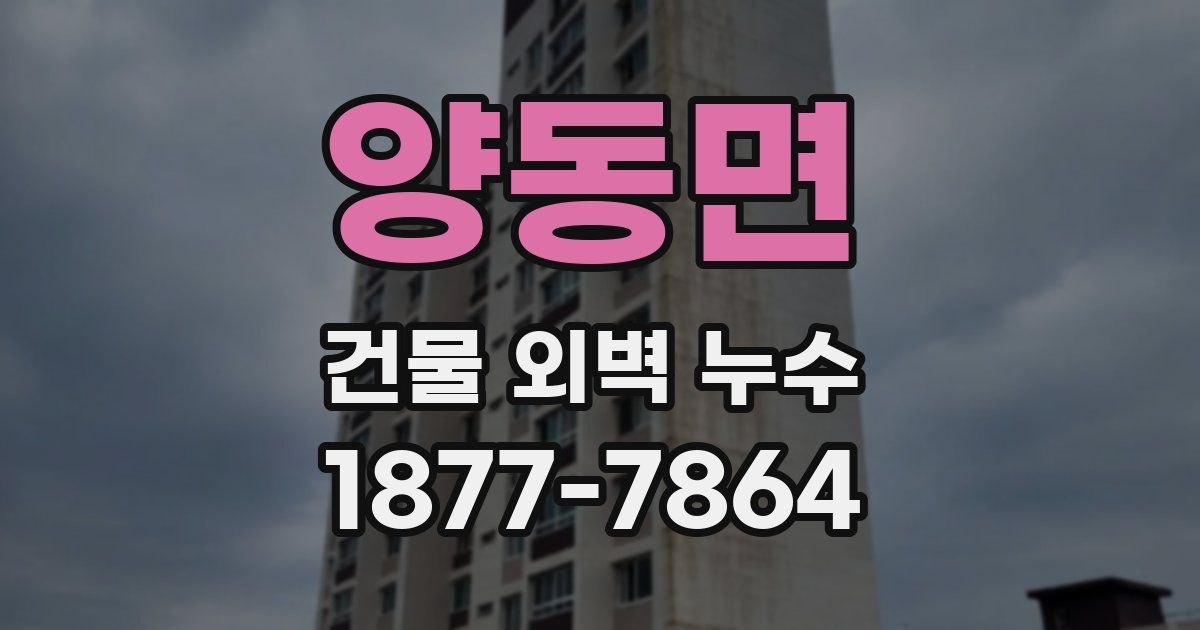 양동면 건물 외벽 누수