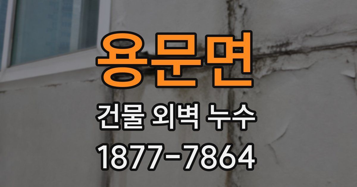 용문면 건물 외벽 누수