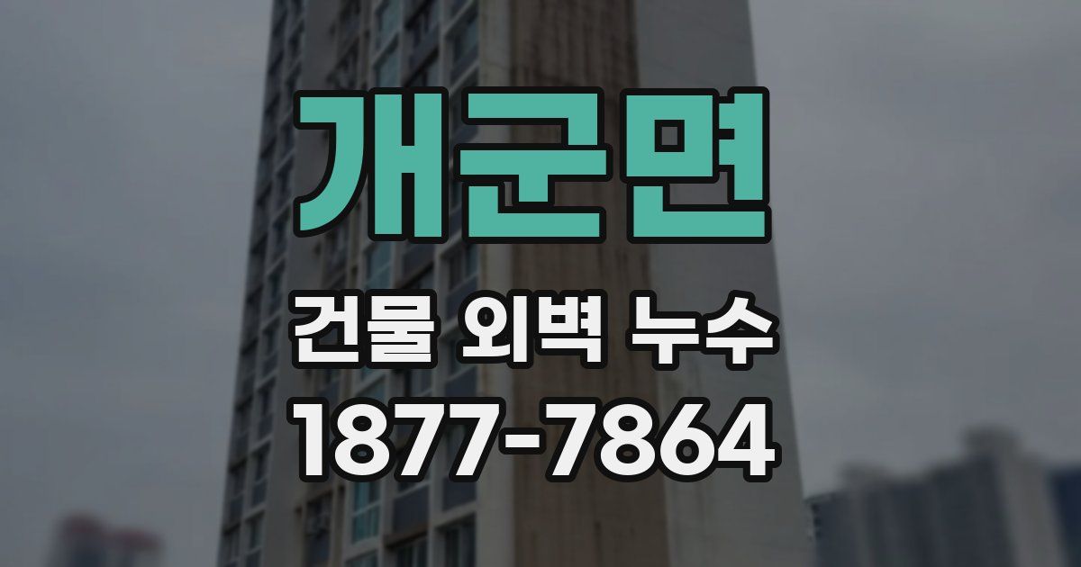 개군면 건물 외벽 누수