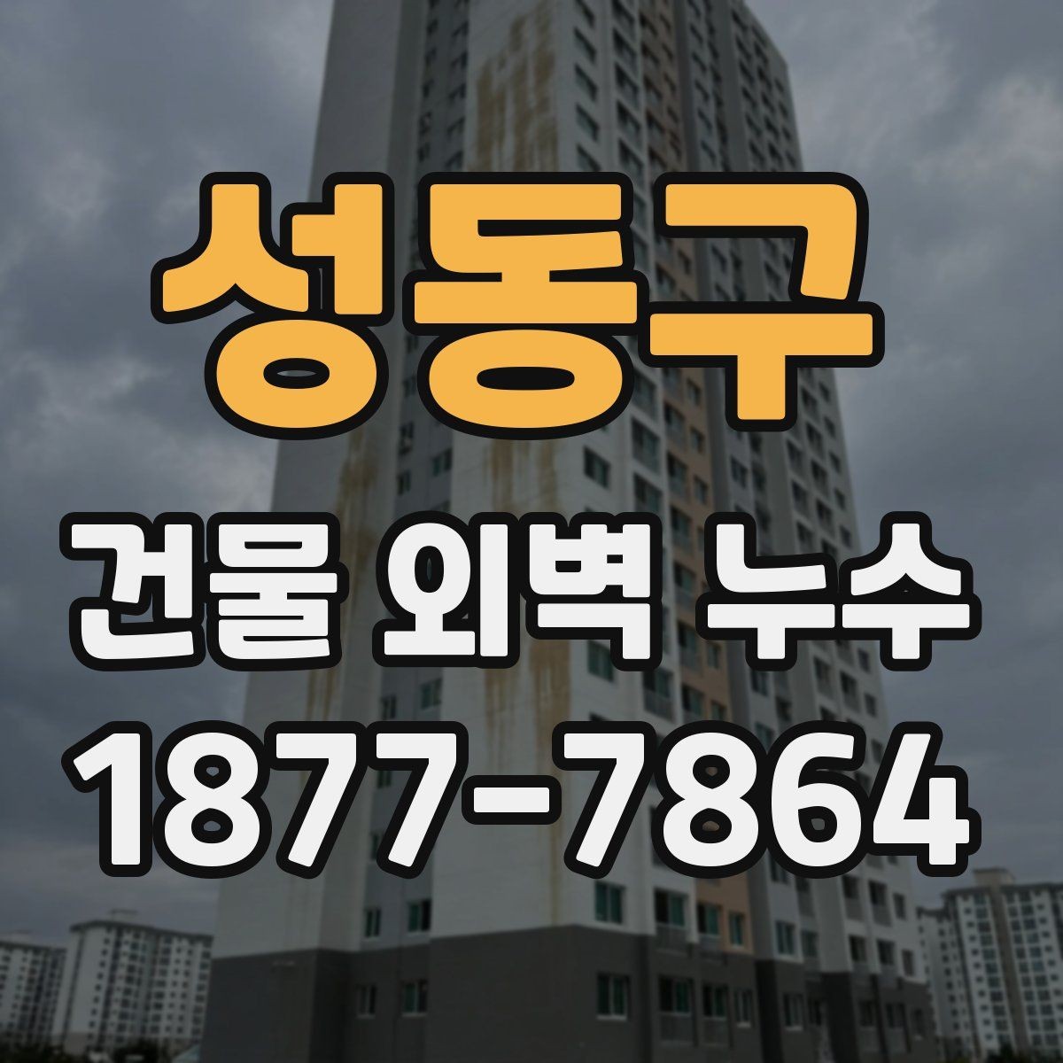 성동구 건물 외벽 누수 의심 구간별 살펴볼 점
