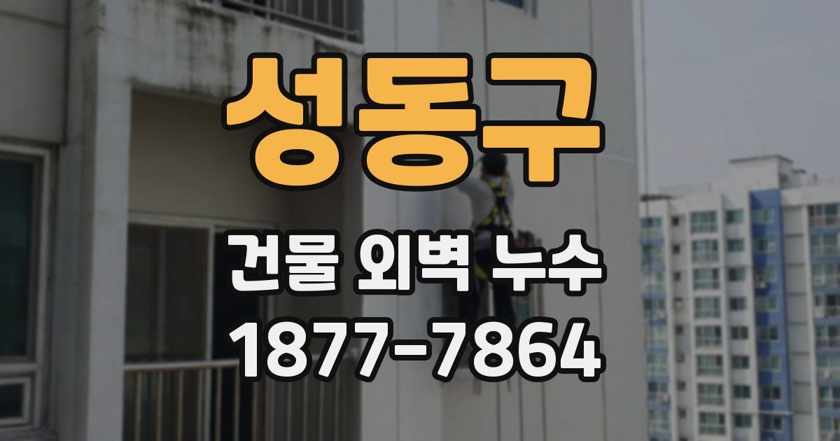 성동구 건물 외벽 누수