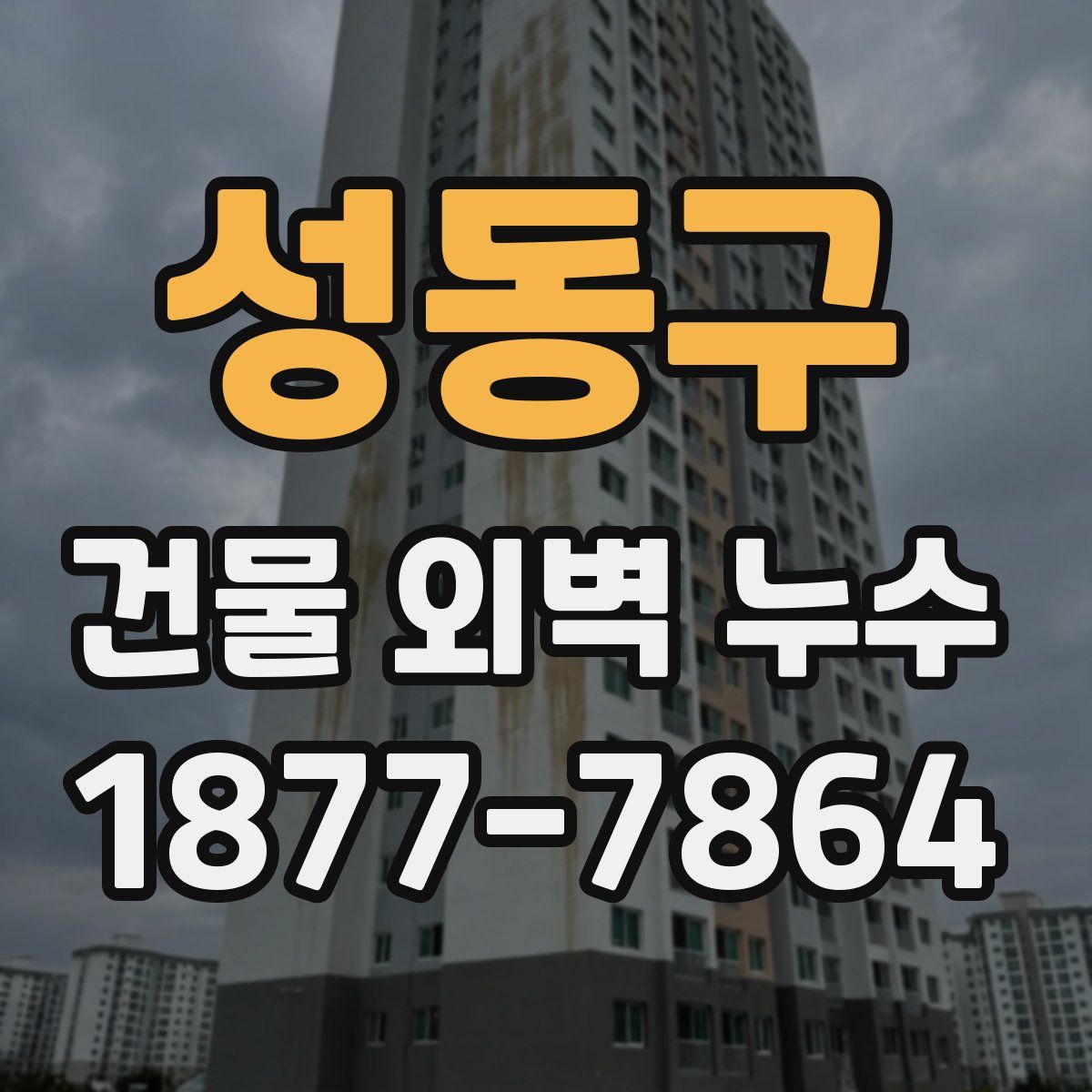성동구 건물 외벽 누수
