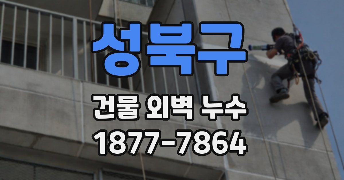 성북구 건물 외벽 누수