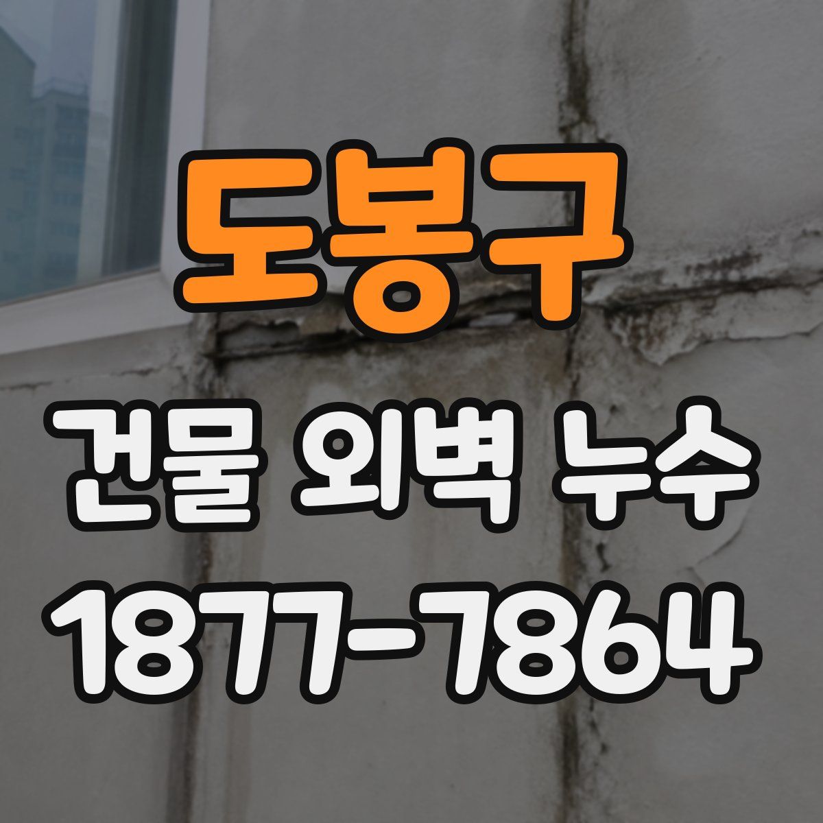 도봉구 건물 외벽 누수