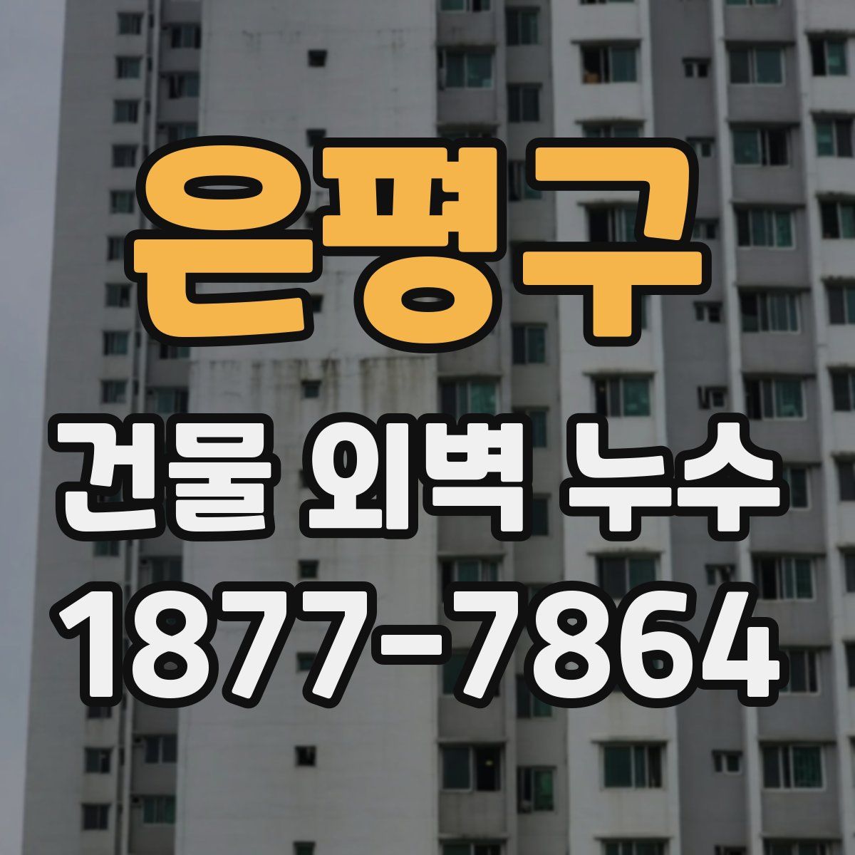 은평구 건물 외벽 누수