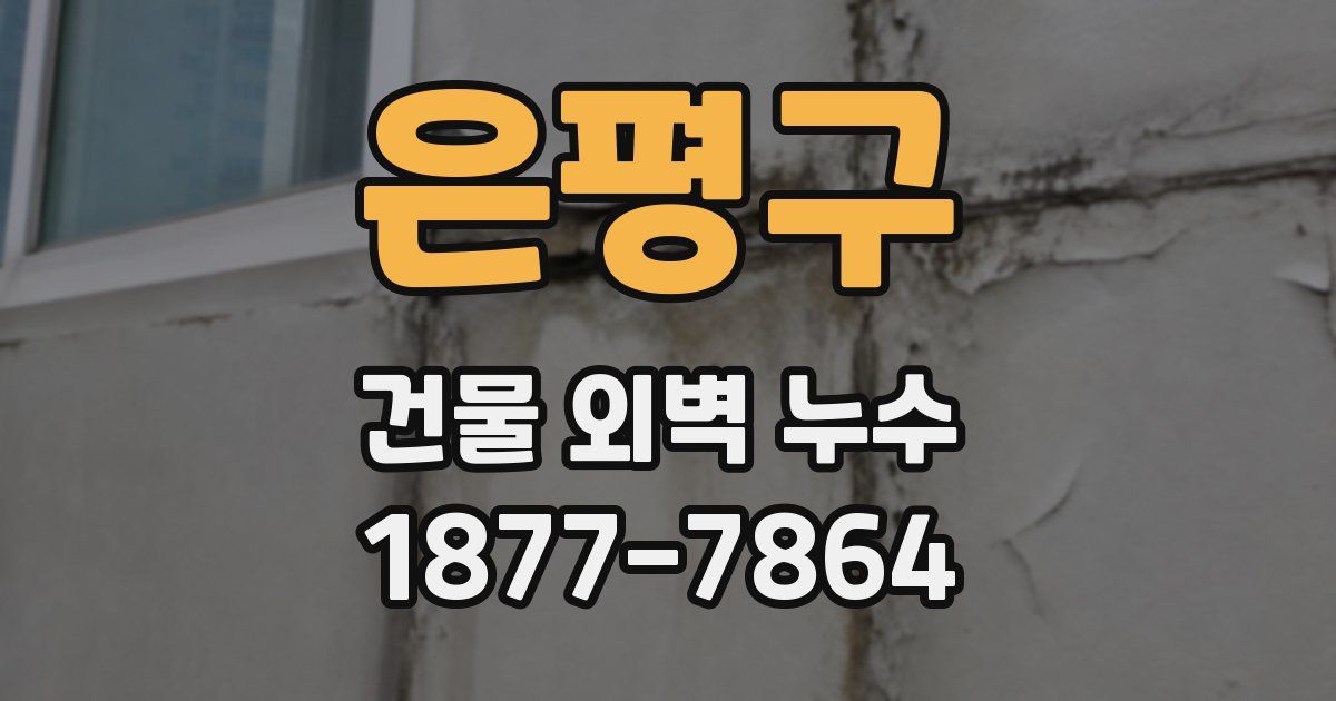 은평구 건물 외벽 누수