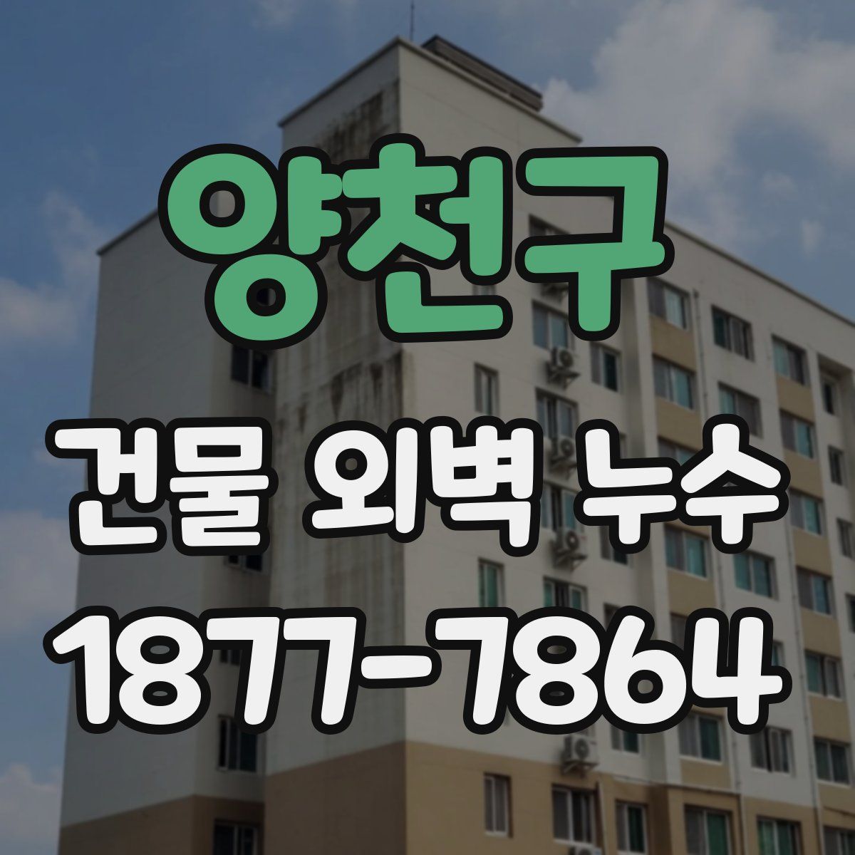 양천구 건물 외벽 누수