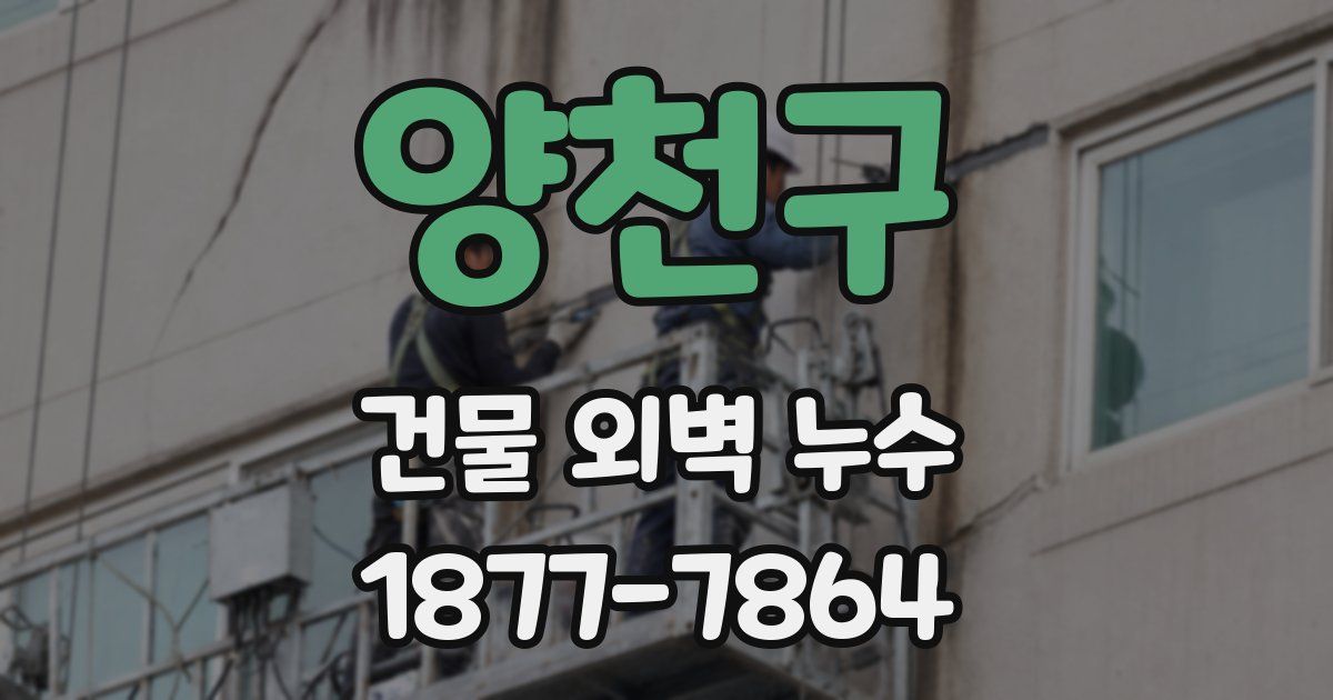 양천구 건물 외벽 누수