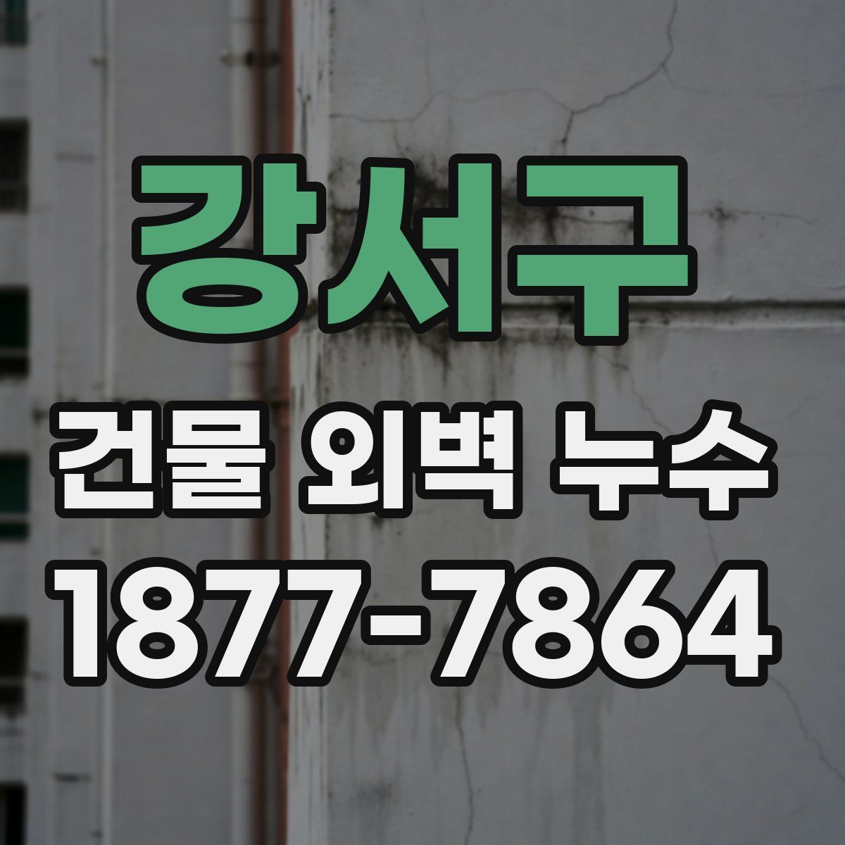 강서구 건물 외벽 누수