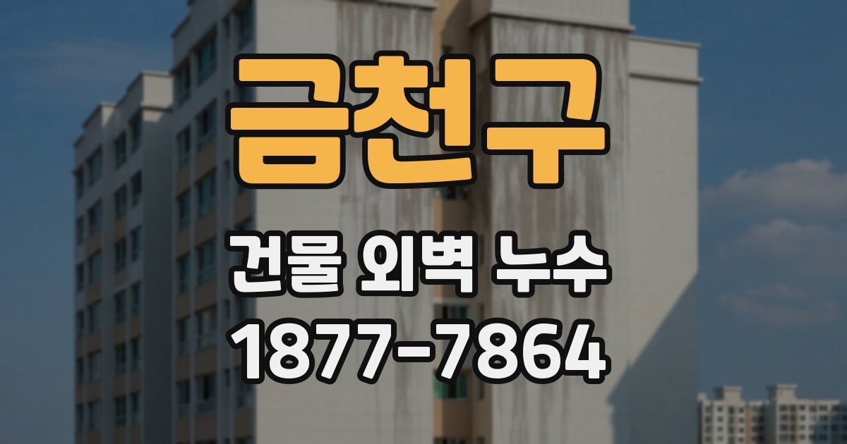 금천구 건물 외벽 누수