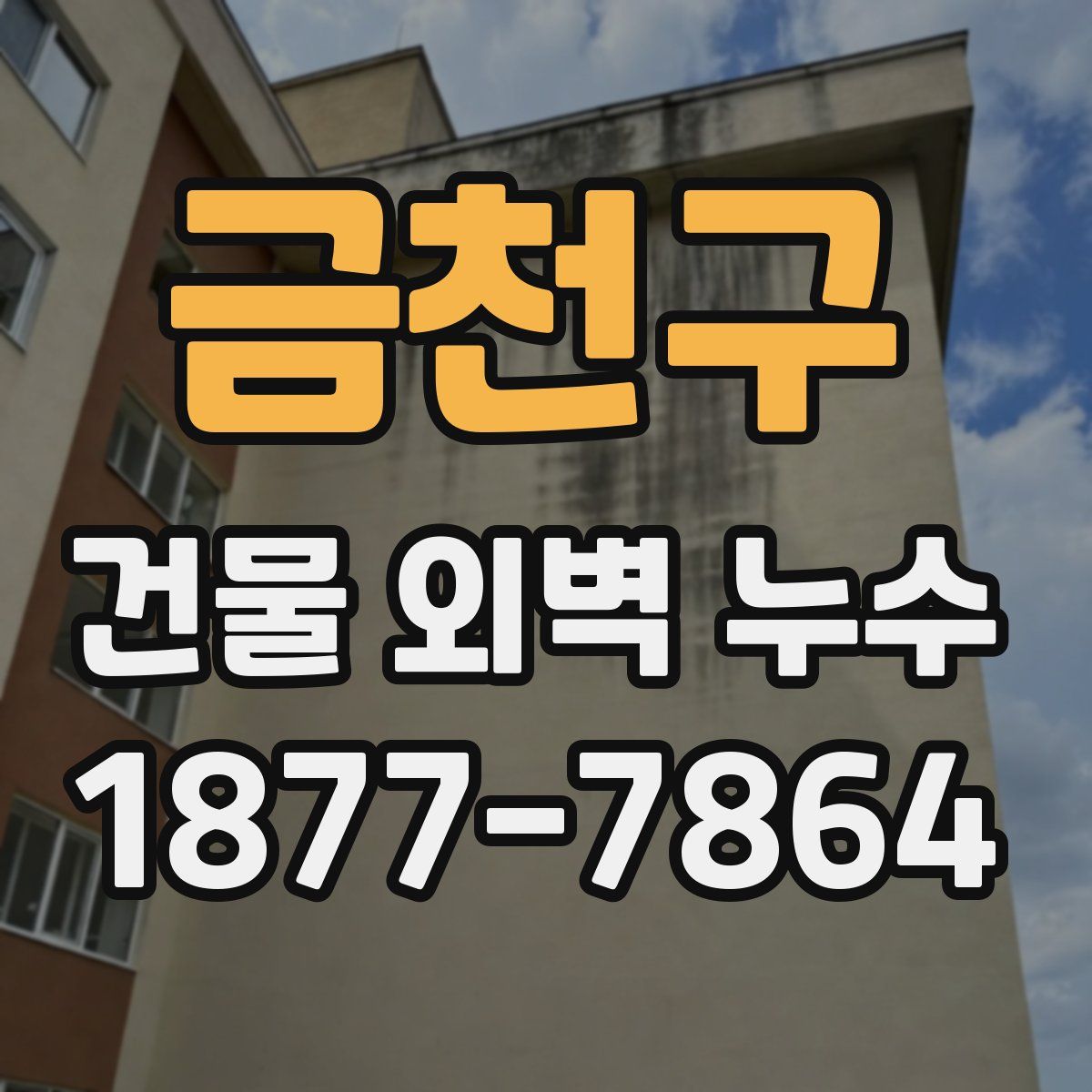 금천구 건물 외벽 누수