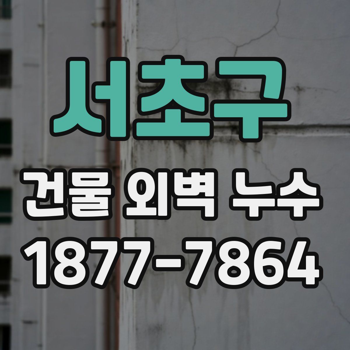 서초구 건물 외벽 누수