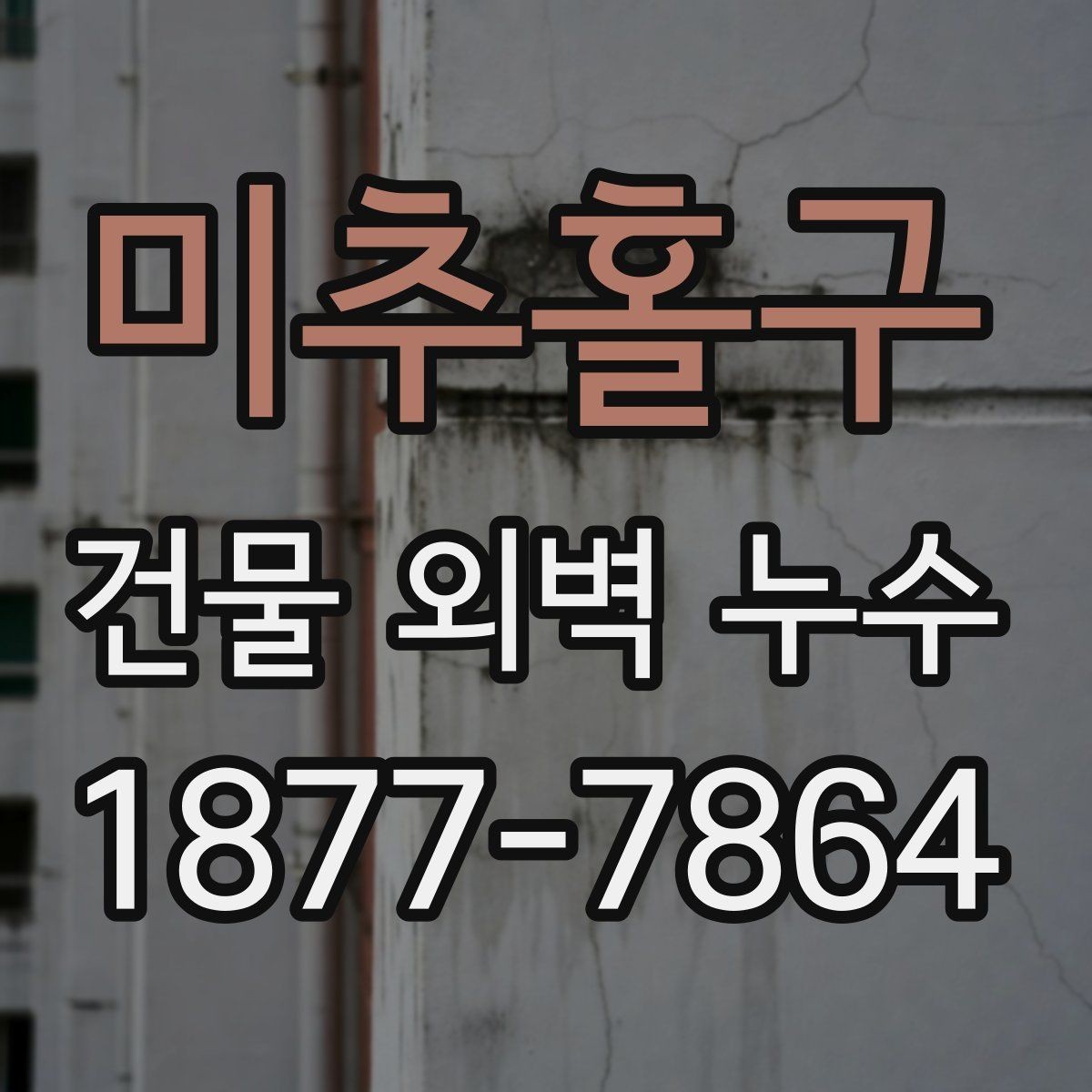 미추홀구 건물 외벽 누수 진단 시 확인하는 핵심 부위