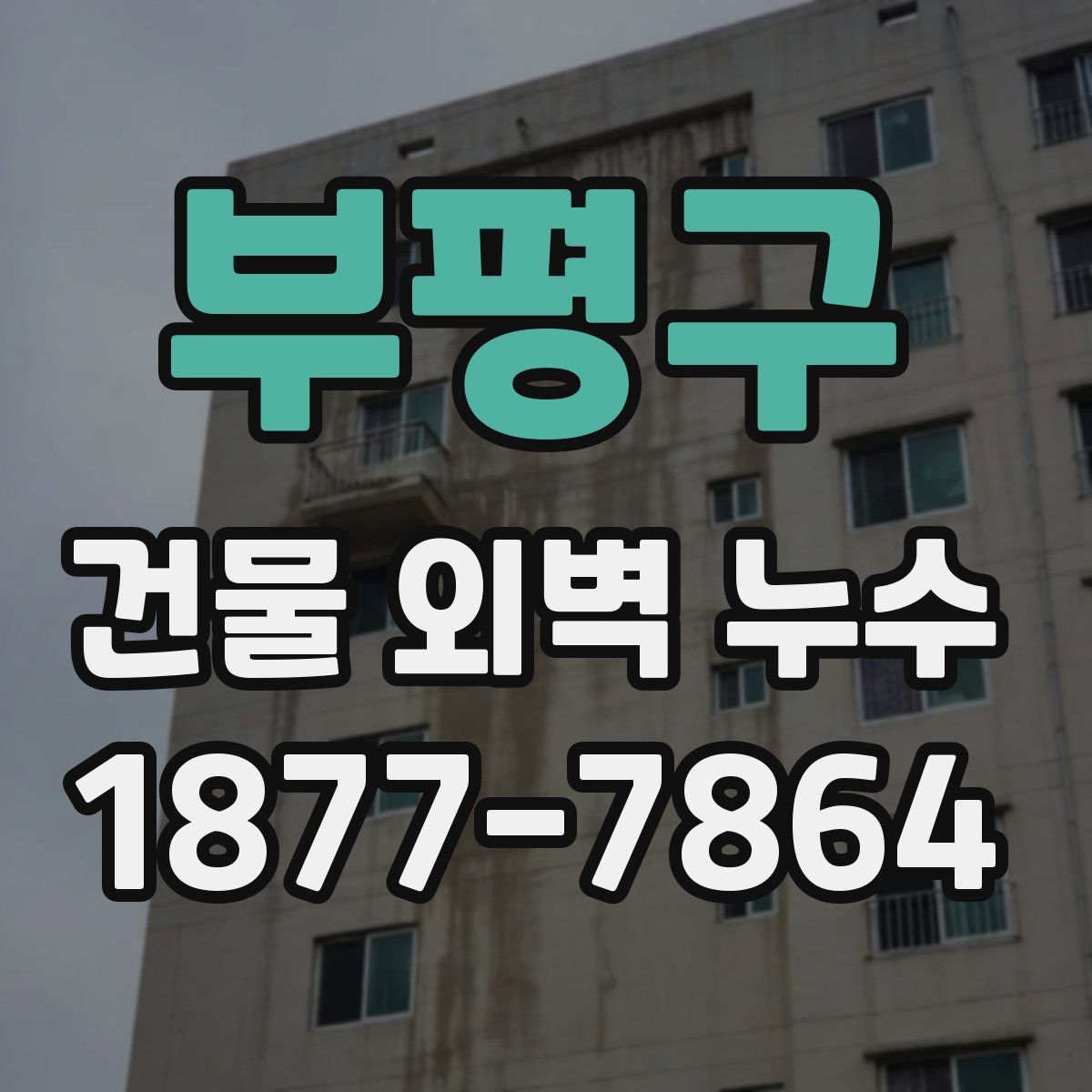 부평구 건물 외벽 누수