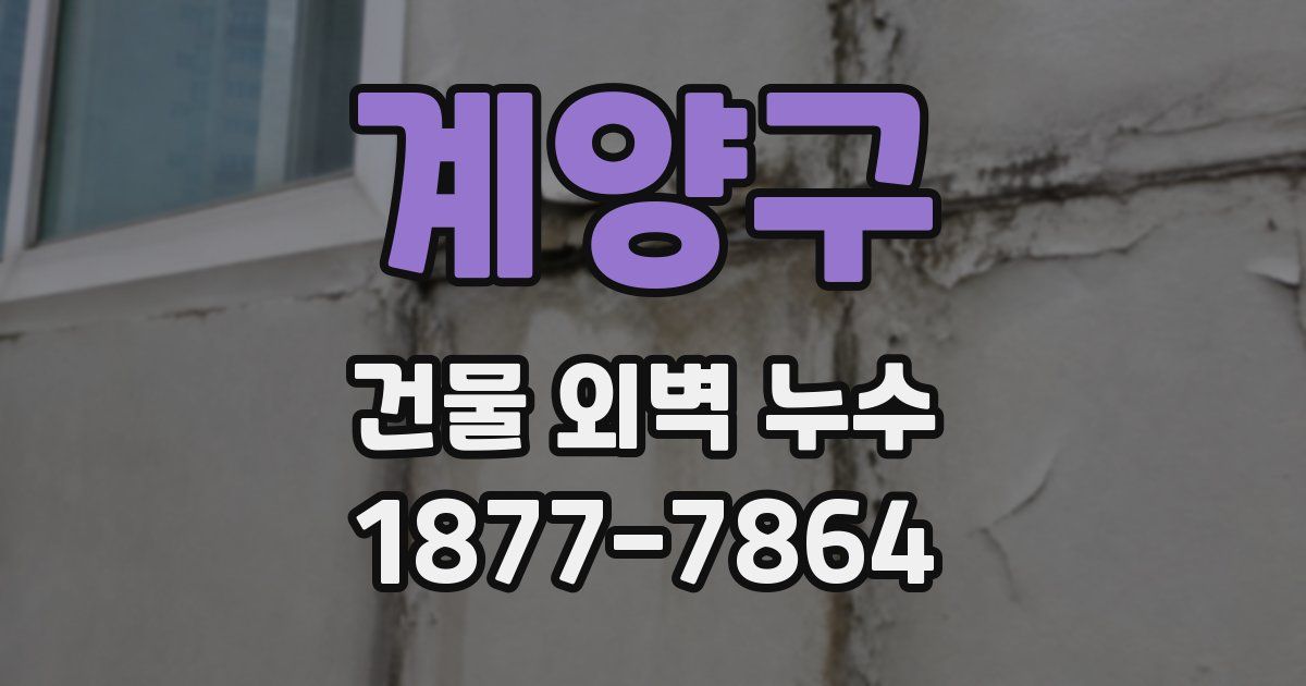 계양구 건물 외벽 누수