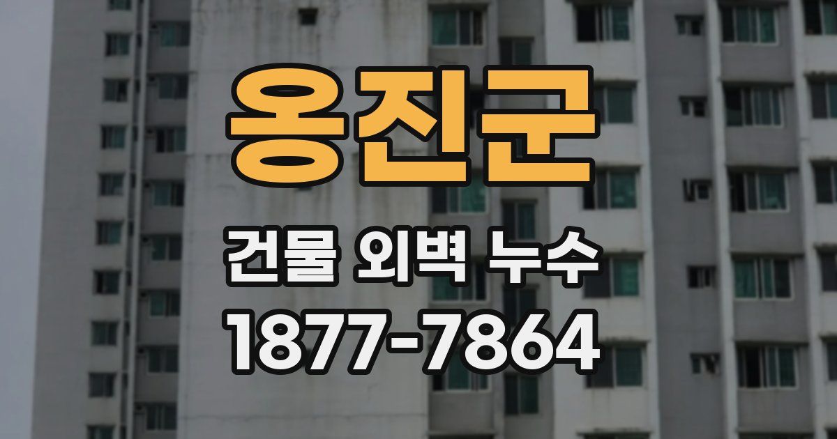 옹진군 건물 외벽 누수