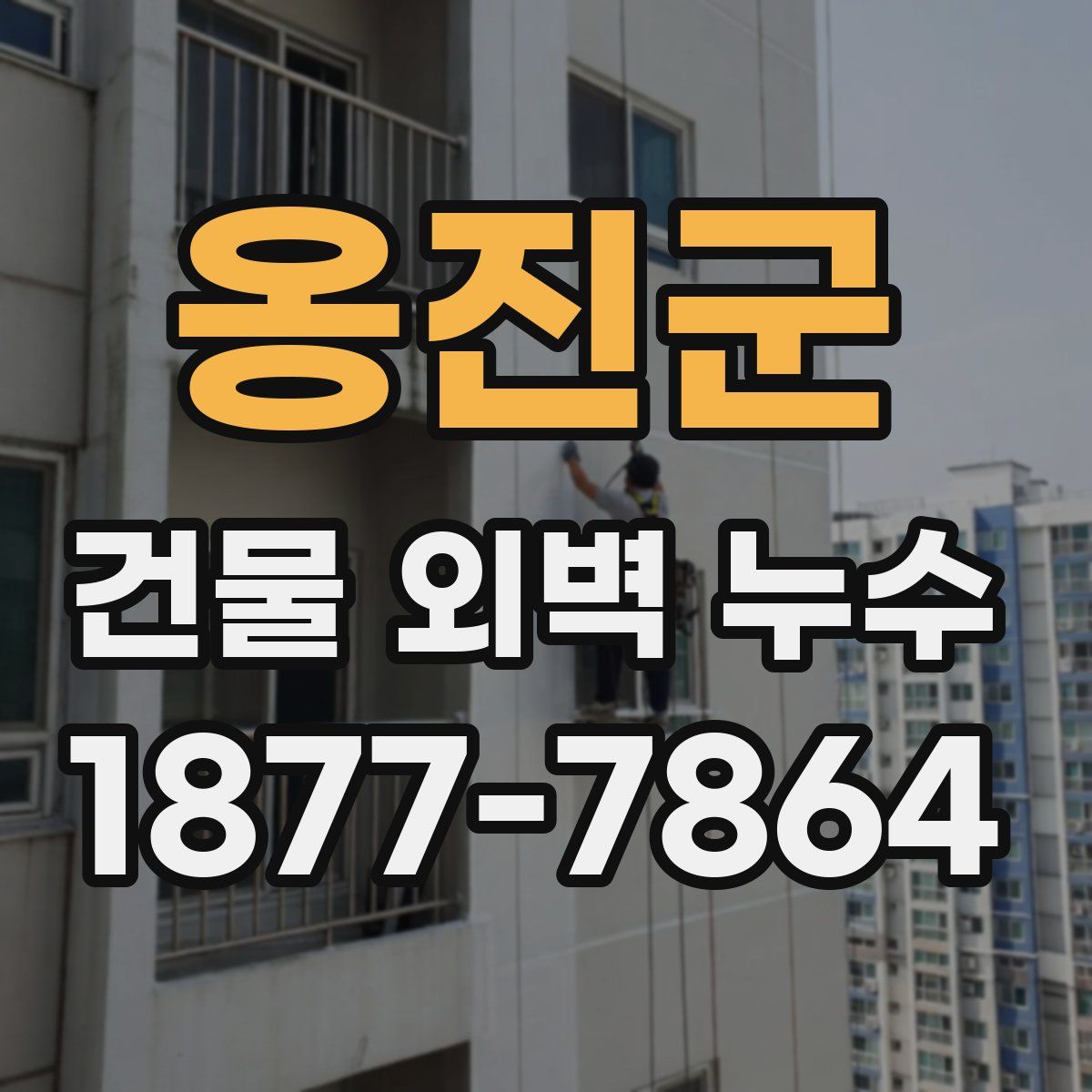 옹진군 건물 외벽 누수