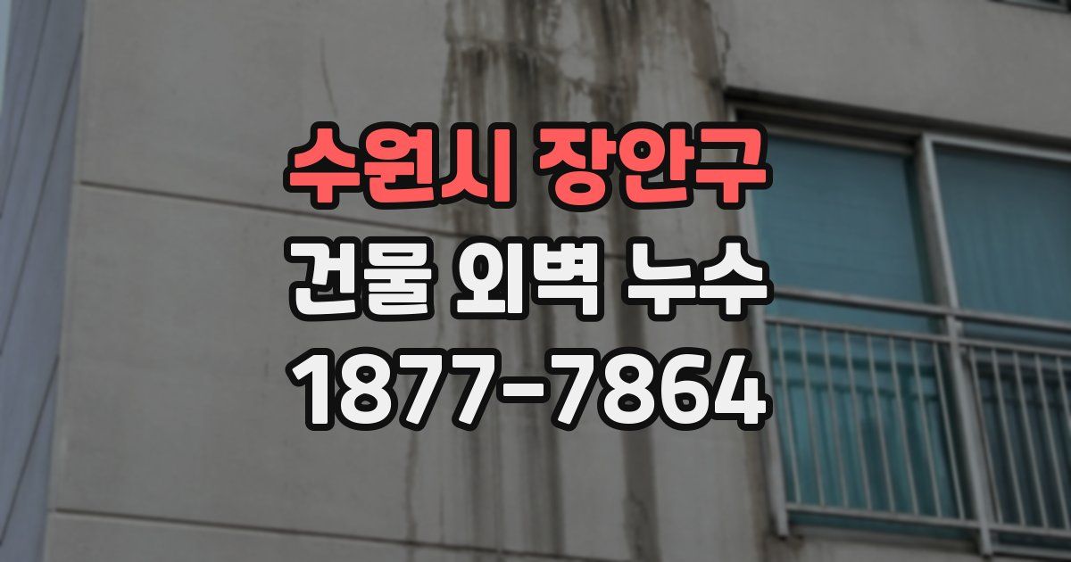 수원시 장안구 건물 외벽 누수