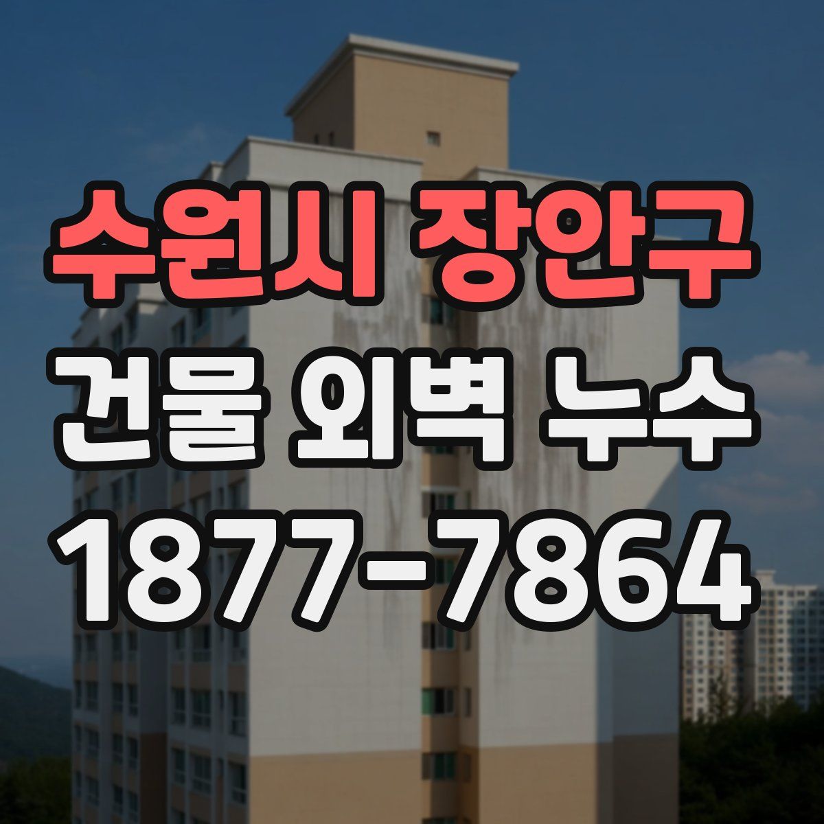 수원시 장안구 건물 외벽 누수