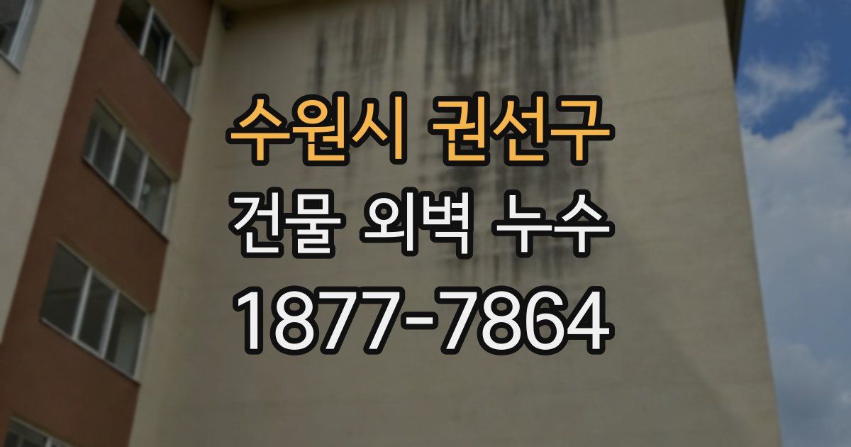 수원시 권선구 건물 외벽 누수