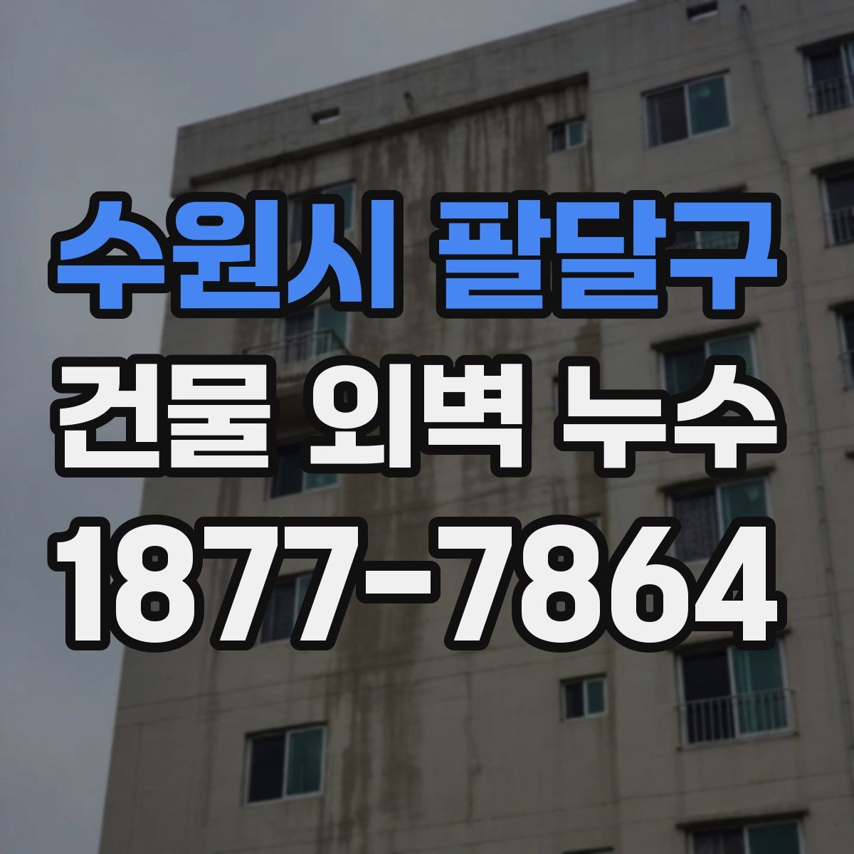 수원시 팔달구 건물 외벽 누수