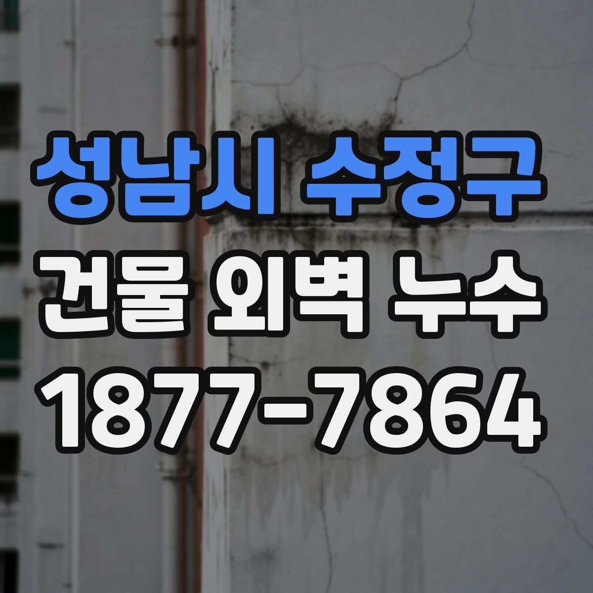 성남시 수정구 건물 외벽 누수