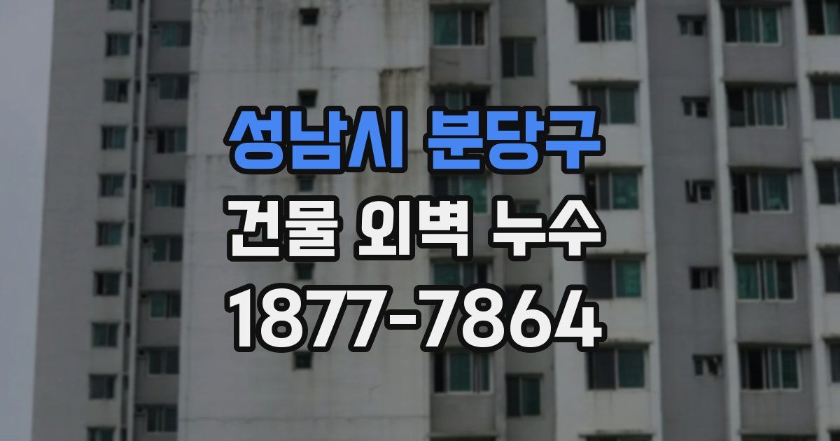 성남시 분당구 건물 외벽 누수