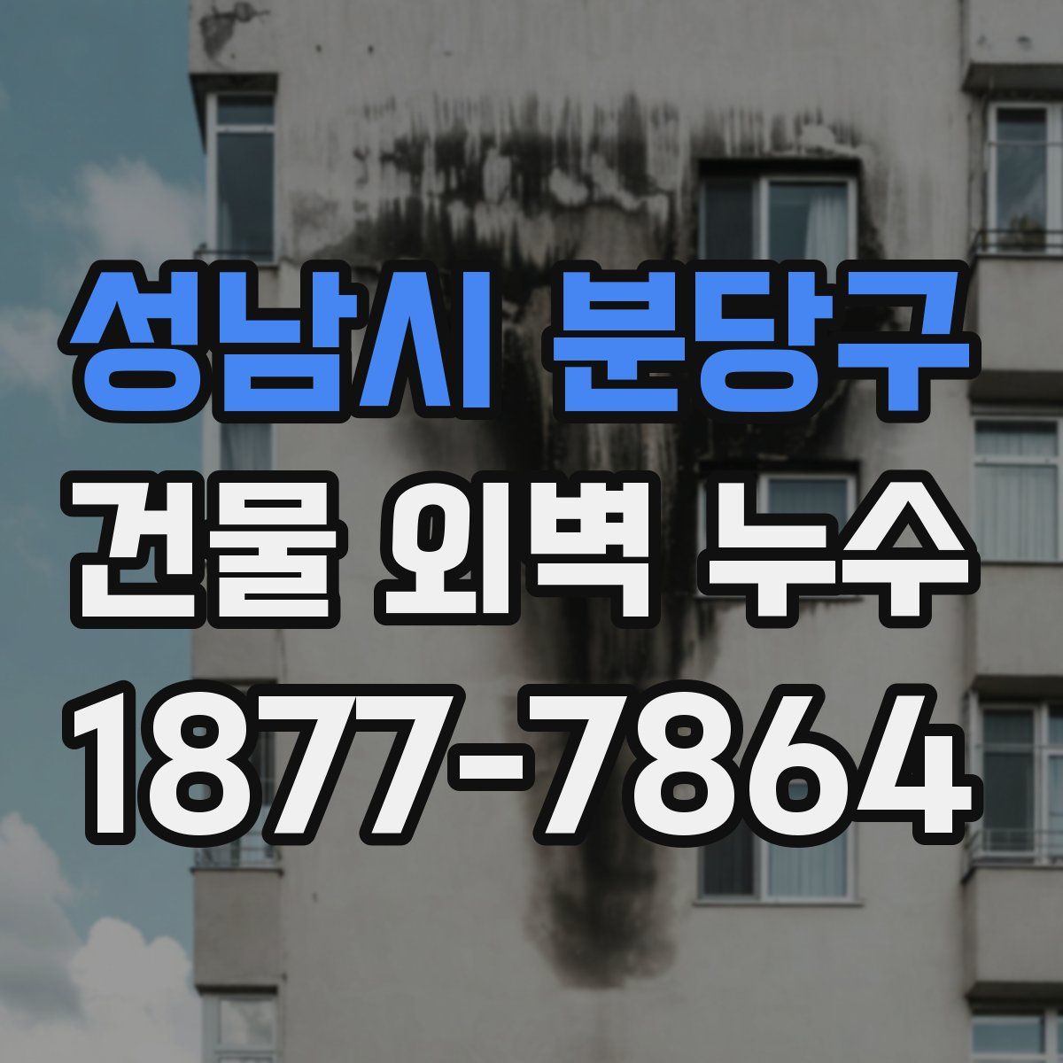 성남시 분당구 건물 외벽 누수