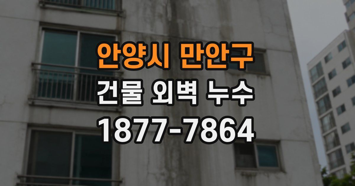 안양시 만안구 건물 외벽 누수