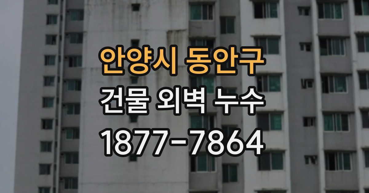 안양시 동안구 건물 외벽 누수