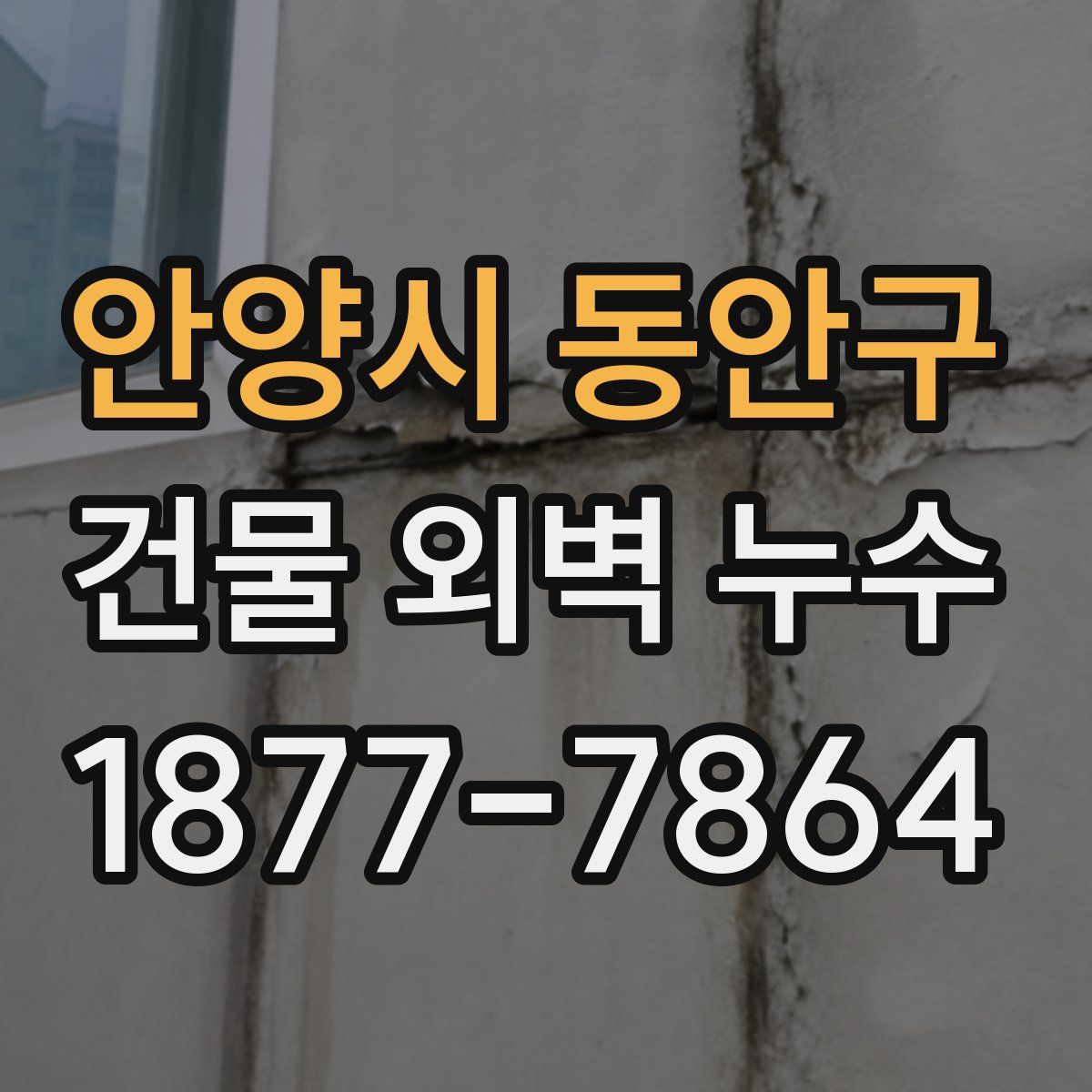 안양시 동안구 건물 외벽 누수