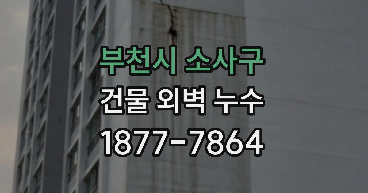 부천시 소사구 건물 외벽 누수