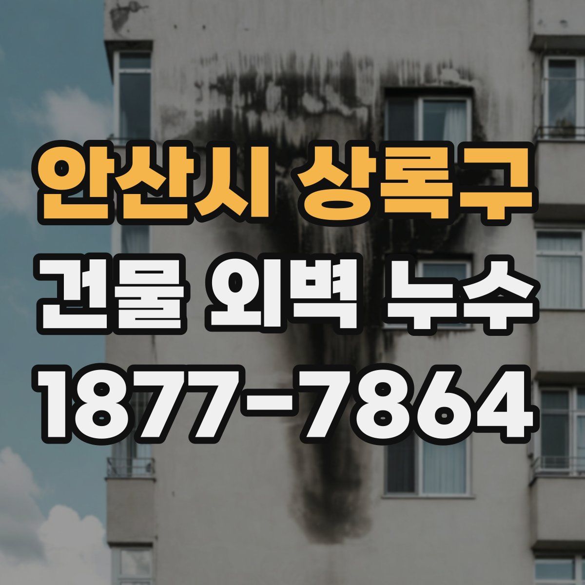 안산시 상록구 건물 외벽 누수