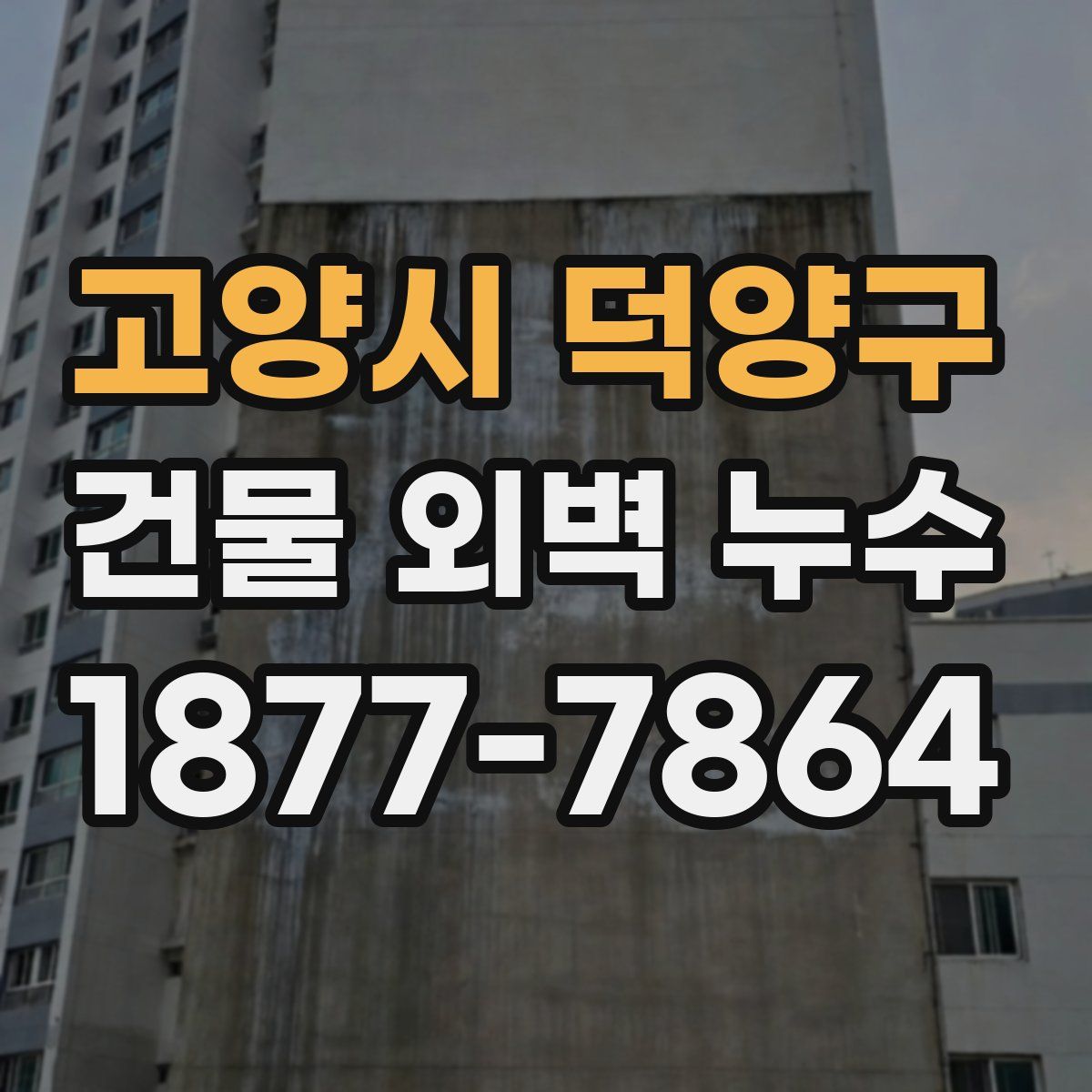 고양시 덕양구 건물 외벽 누수
