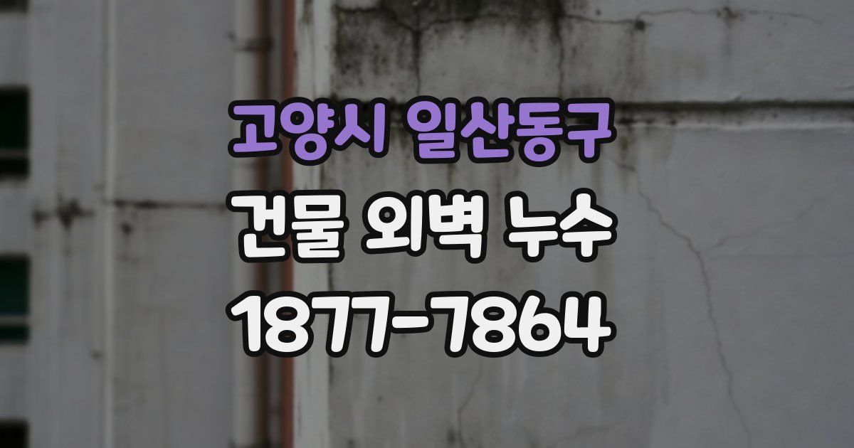 고양시 일산동구 건물 외벽 누수