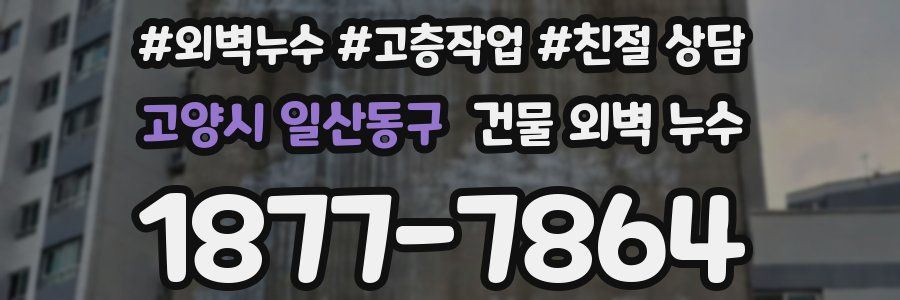 고양시 일산동구 건물 외벽 누수