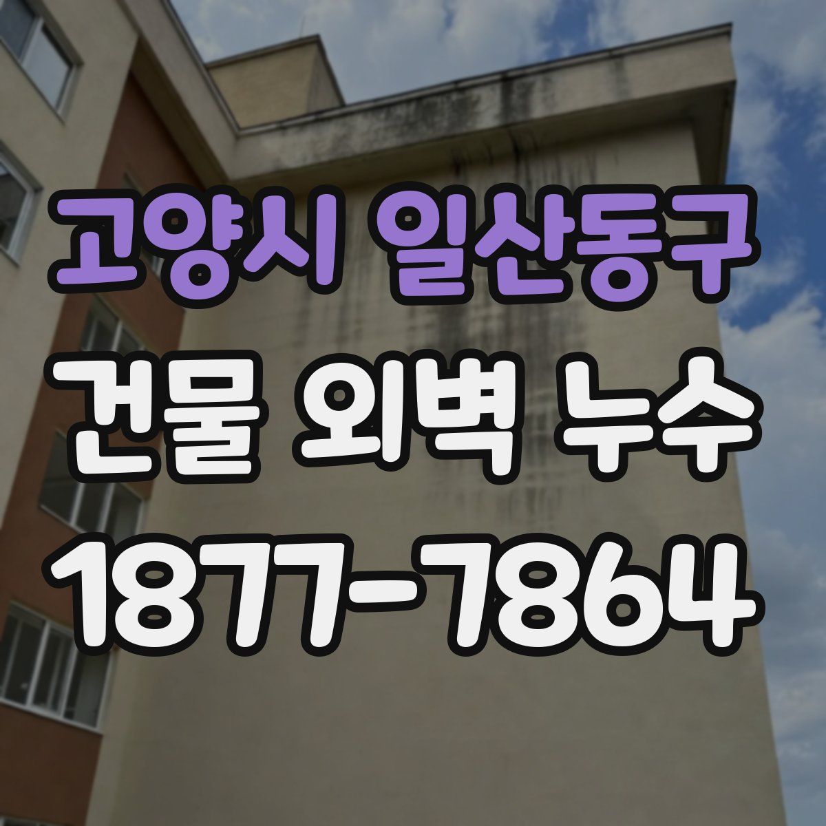 고양시 일산동구 건물 외벽 누수