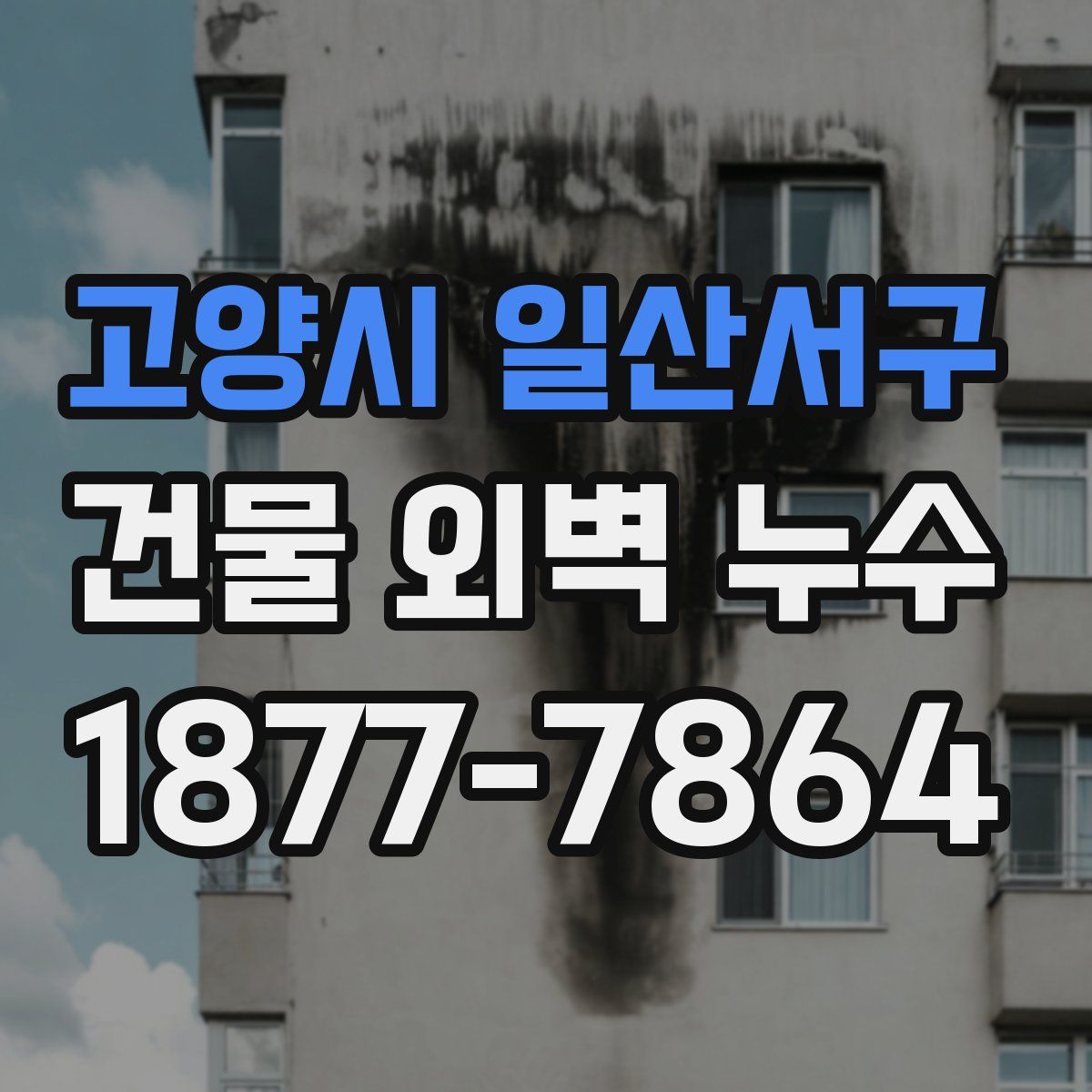 고양시 일산서구 건물 외벽 누수