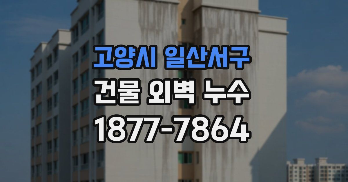 고양시 일산서구 건물 외벽 누수