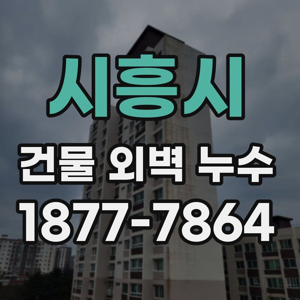 시흥시 건물 외벽 누수 문제를 줄이는 사전 점검 방법