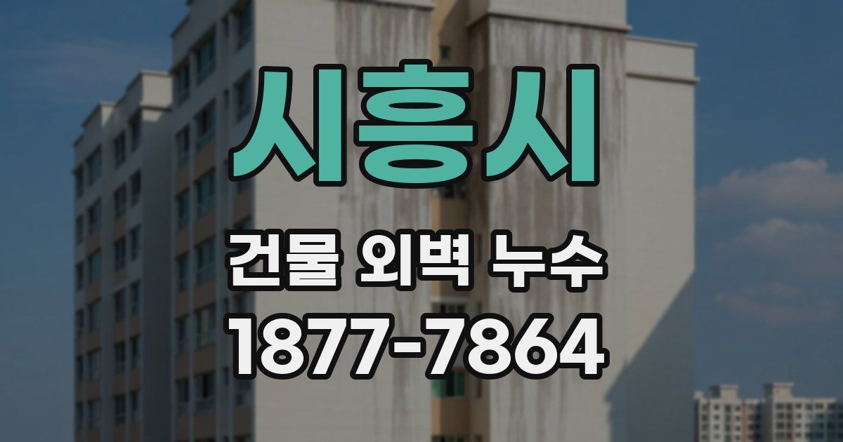 시흥시 건물 외벽 누수