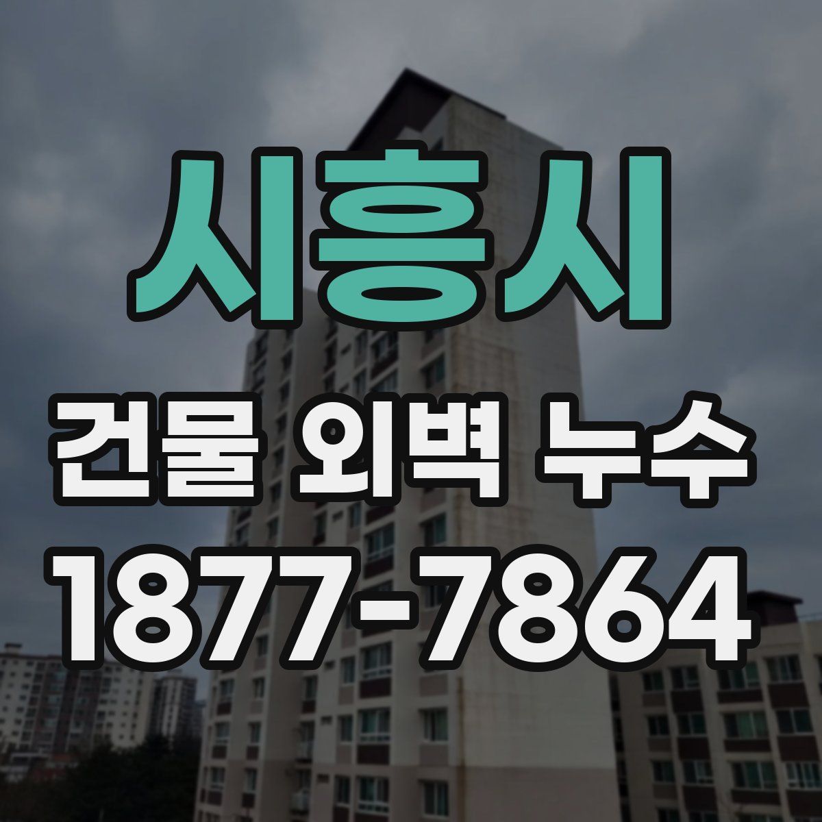 시흥시 건물 외벽 누수