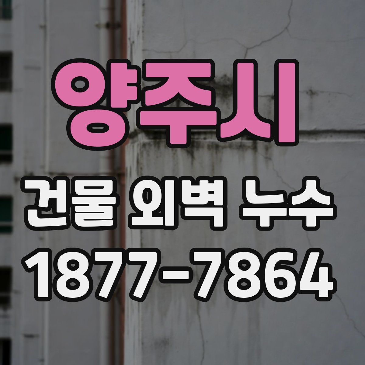 양주시 건물 외벽 누수