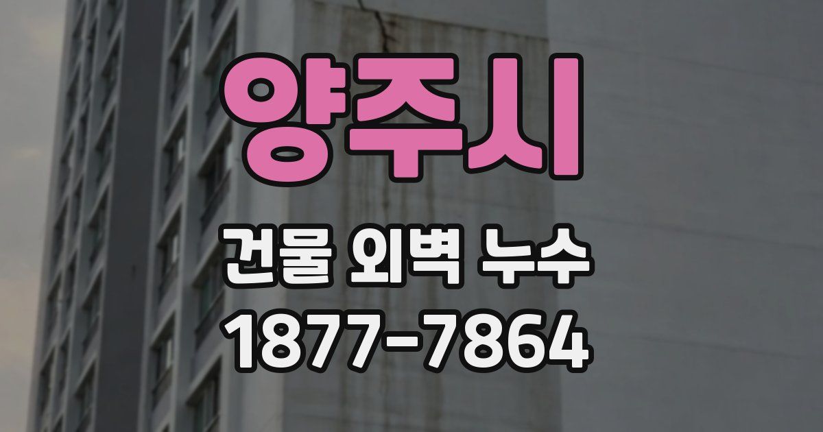 양주시 건물 외벽 누수