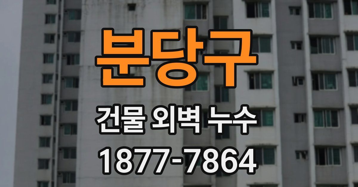 분당구 건물 외벽 누수