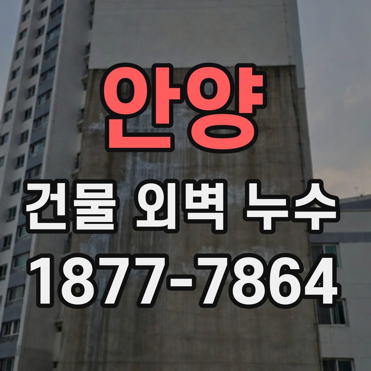 안양 건물 외벽 누수